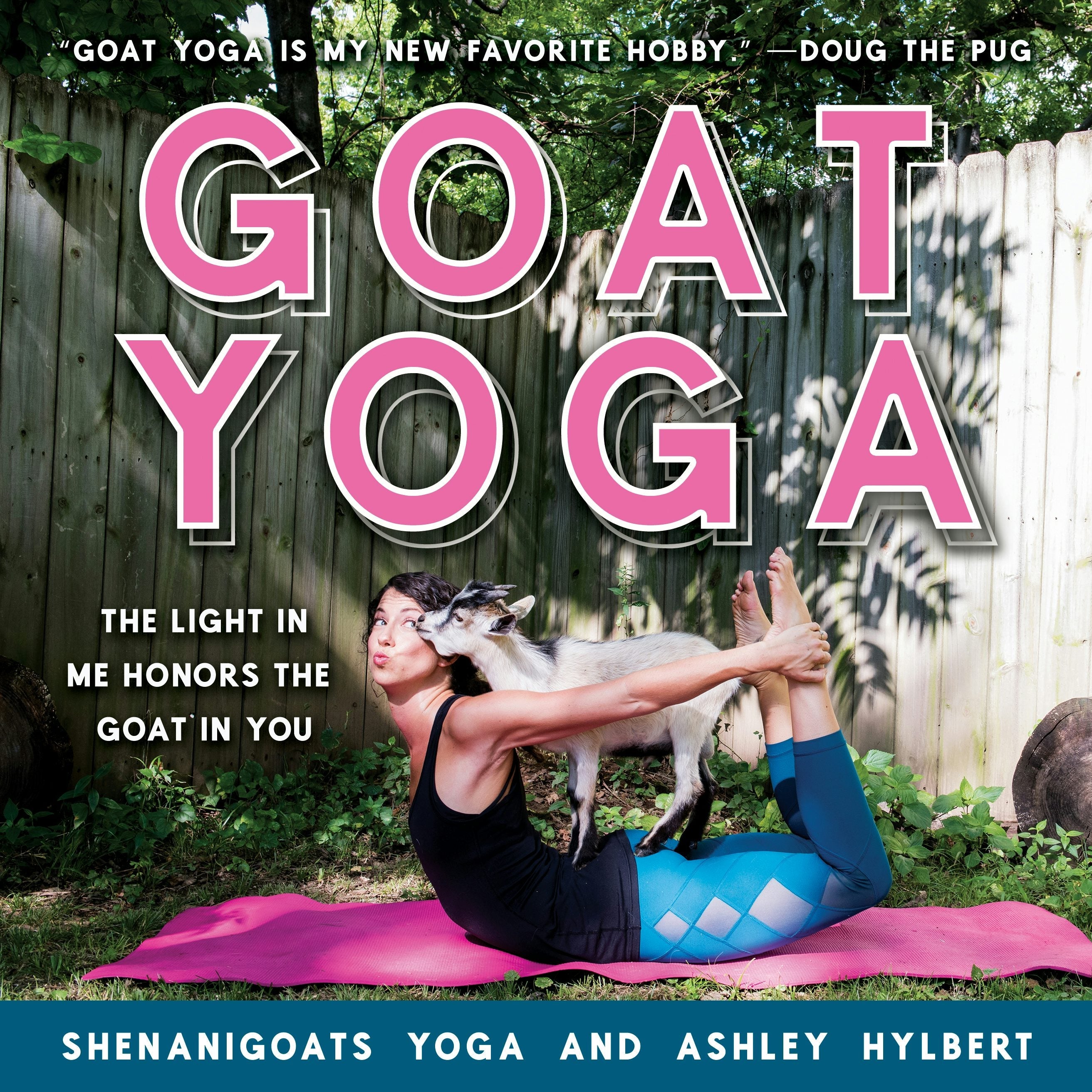 Book cover image for Goat Yoga ISBN: 9781684421534